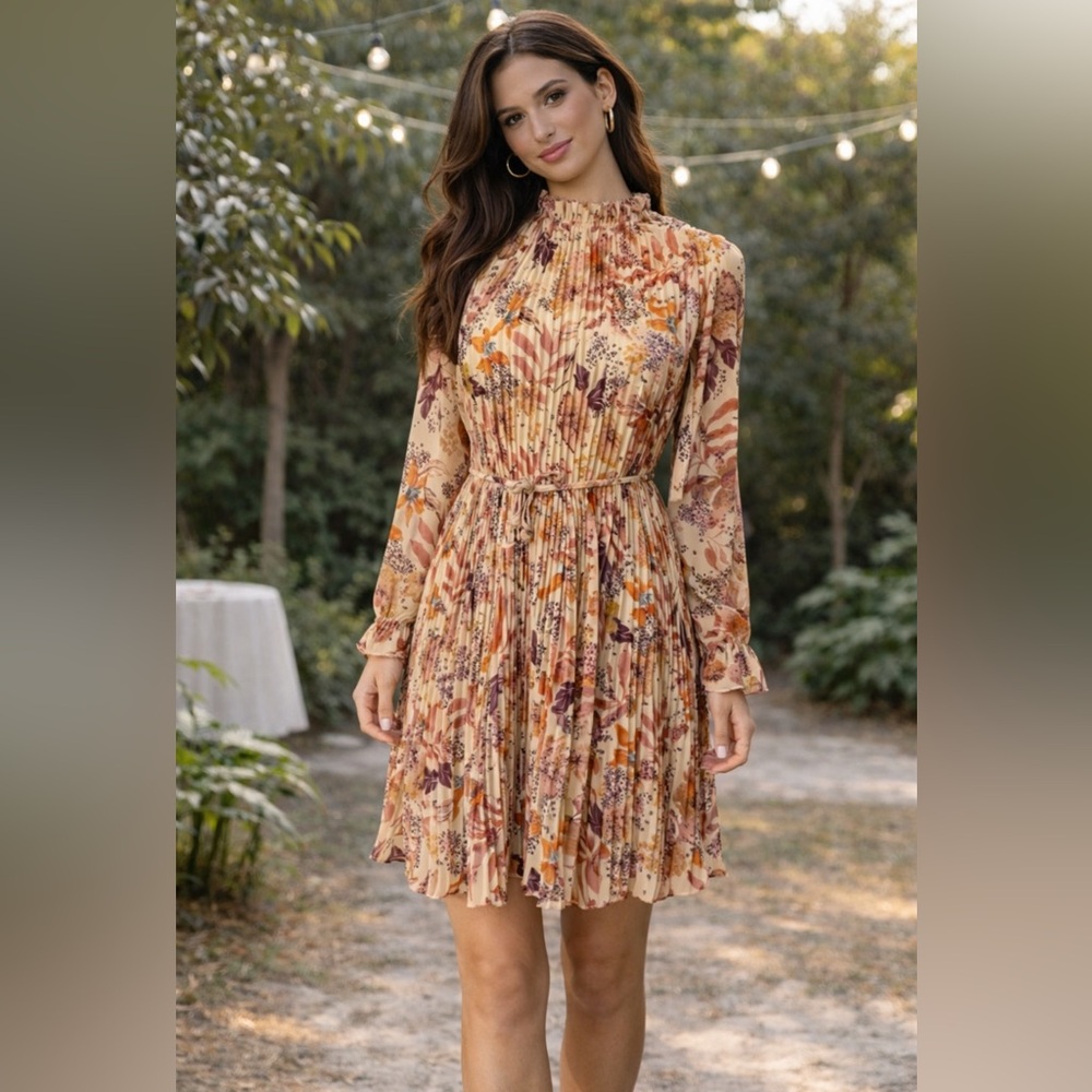 Anthropologie AURA Pleated Floral Dress W Belt Small NWT